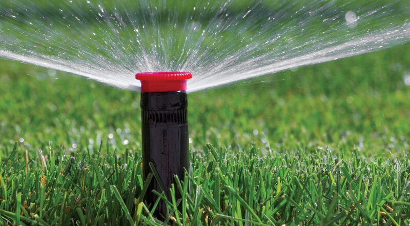 This summer, keep Florida healthy through proper lawn care